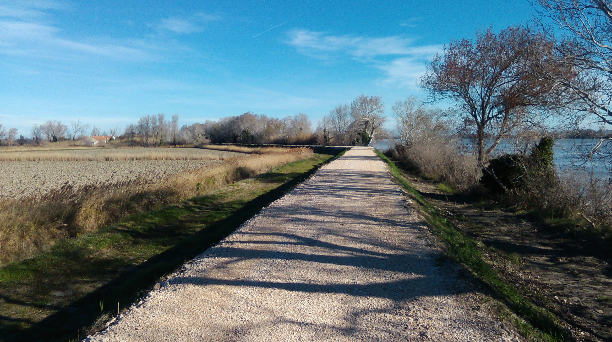Renforcement des digues du Grand Rhône aval SYMADREM