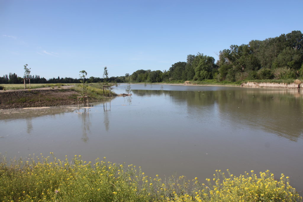 Lône en période de crue