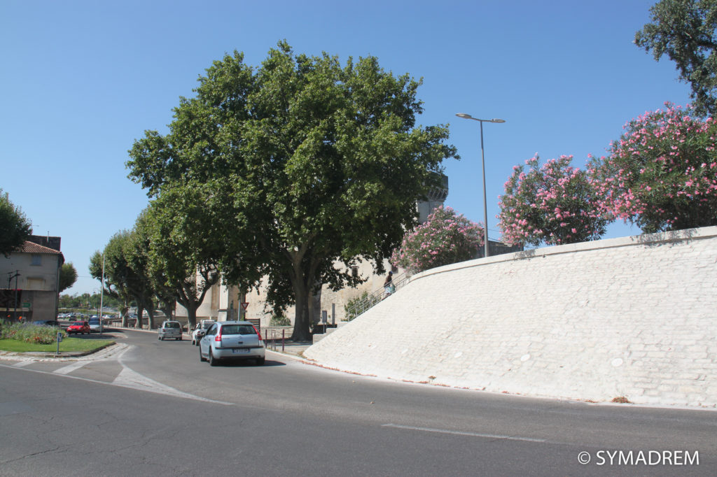 Quais de Tarascon