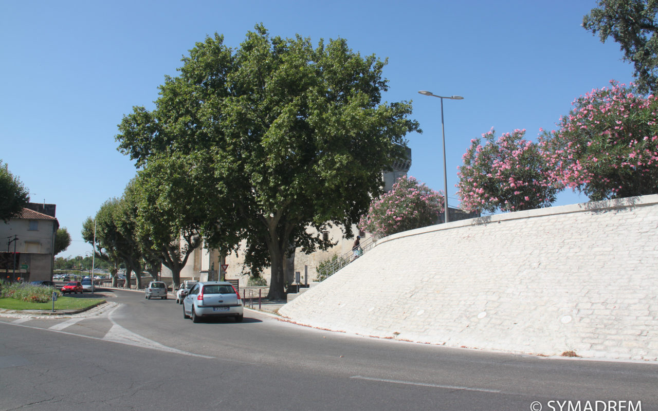 Quais de Tarascon