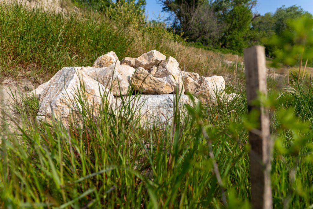 Gîte à reptiles