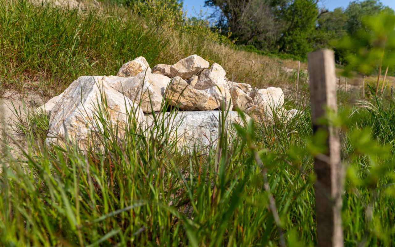 Gîte à reptiles