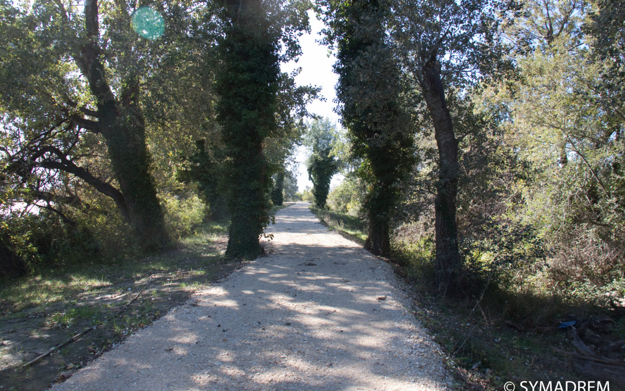 Digue en aval du pont de Sylvéréal