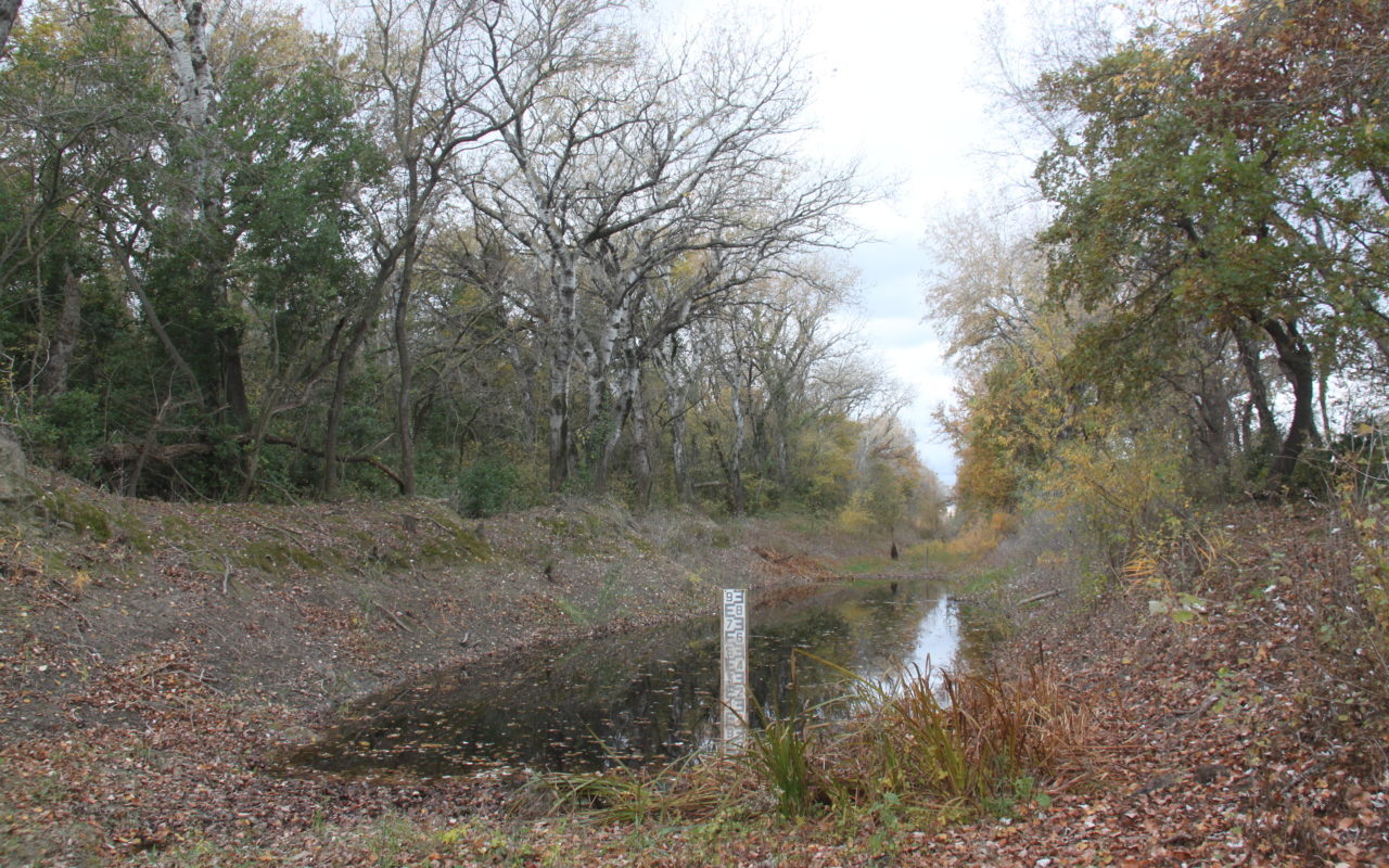 Zone humide - Digue sud 3