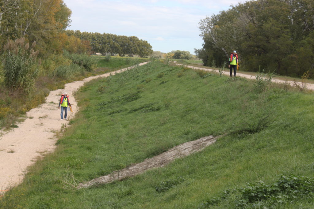 Surveillance diurne lors d'une crue