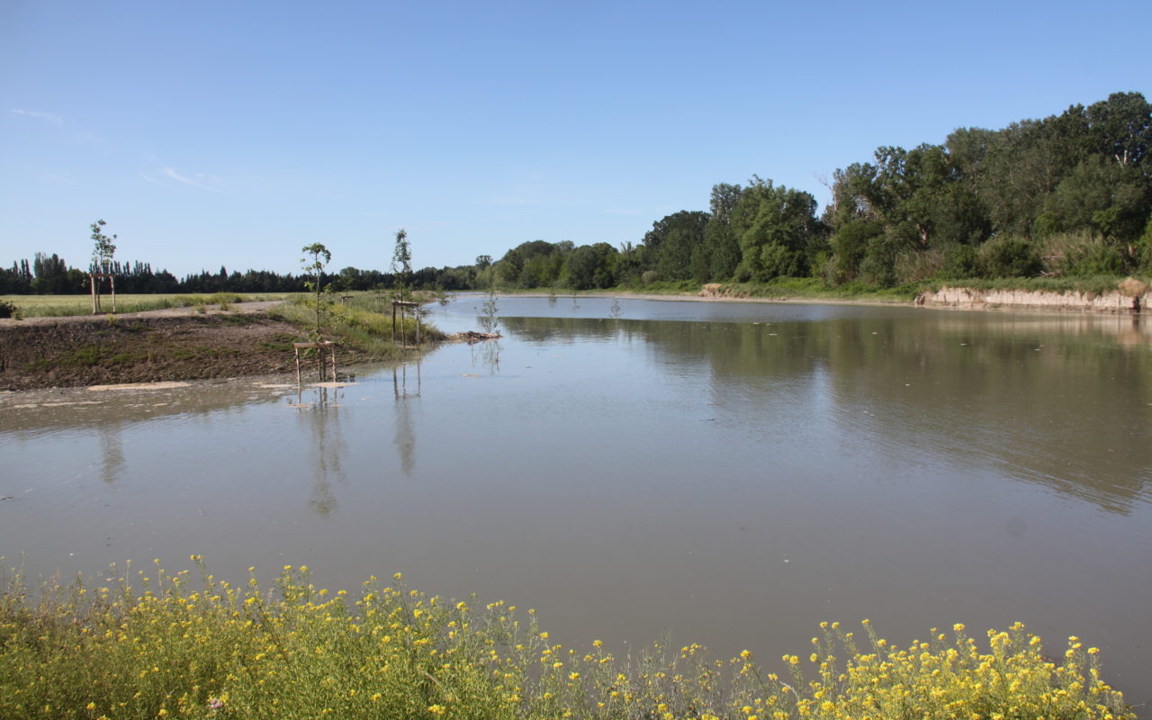 Lône entre Tarascon et Arles remplie