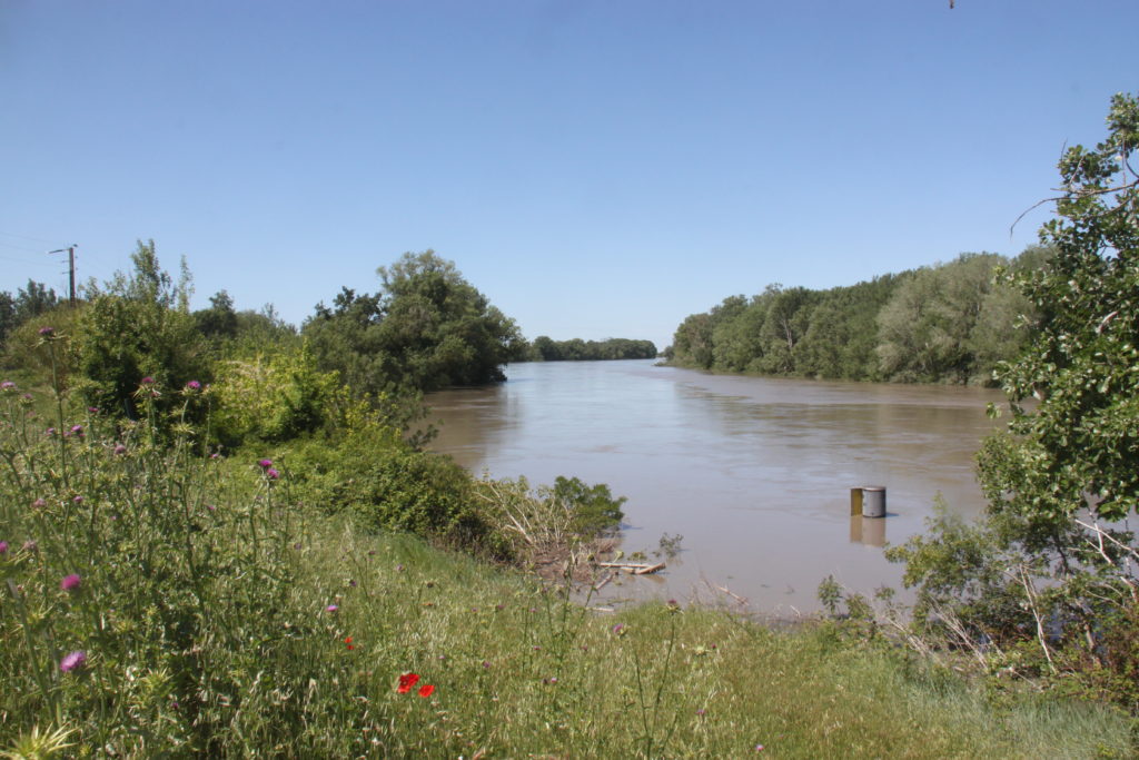 Petit Rhône en crue le 11 mai 2021