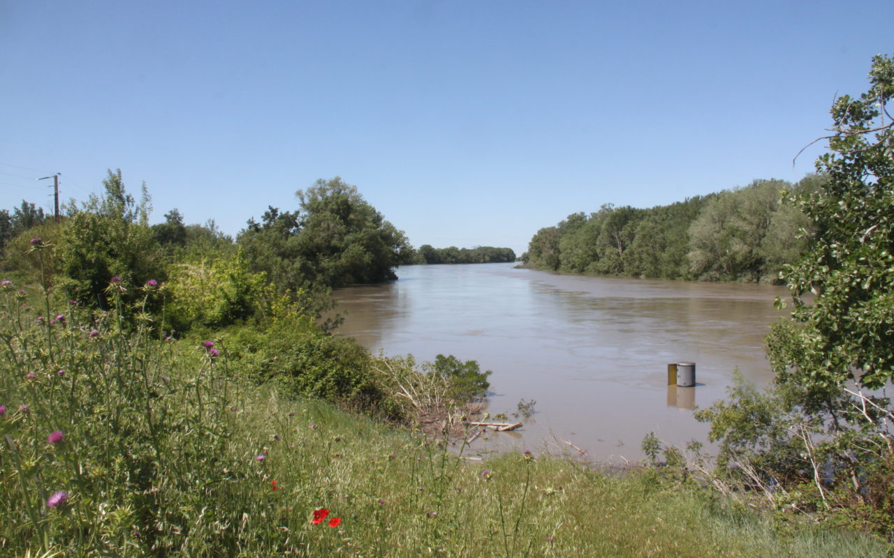 Petit Rhône en crue le 11 mai 2021