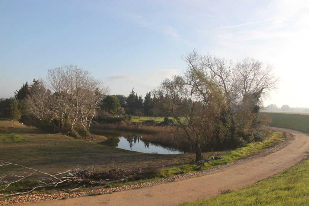 Restauration de la mare du Rouinet