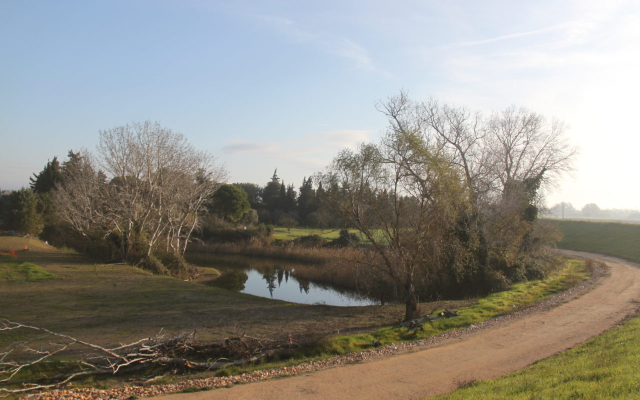 Restauration de la mare du Rouinet