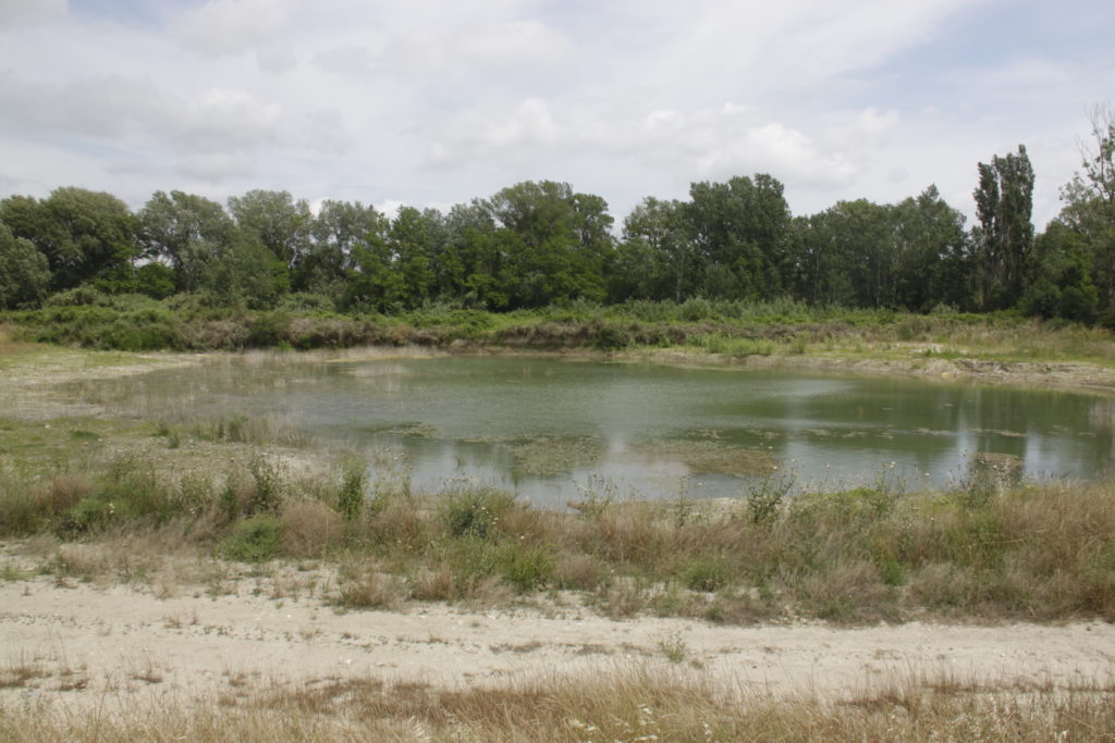 Zone humide de Saujean 1