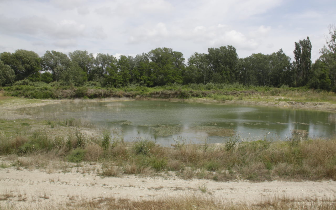 Zone humide de Saujean 1