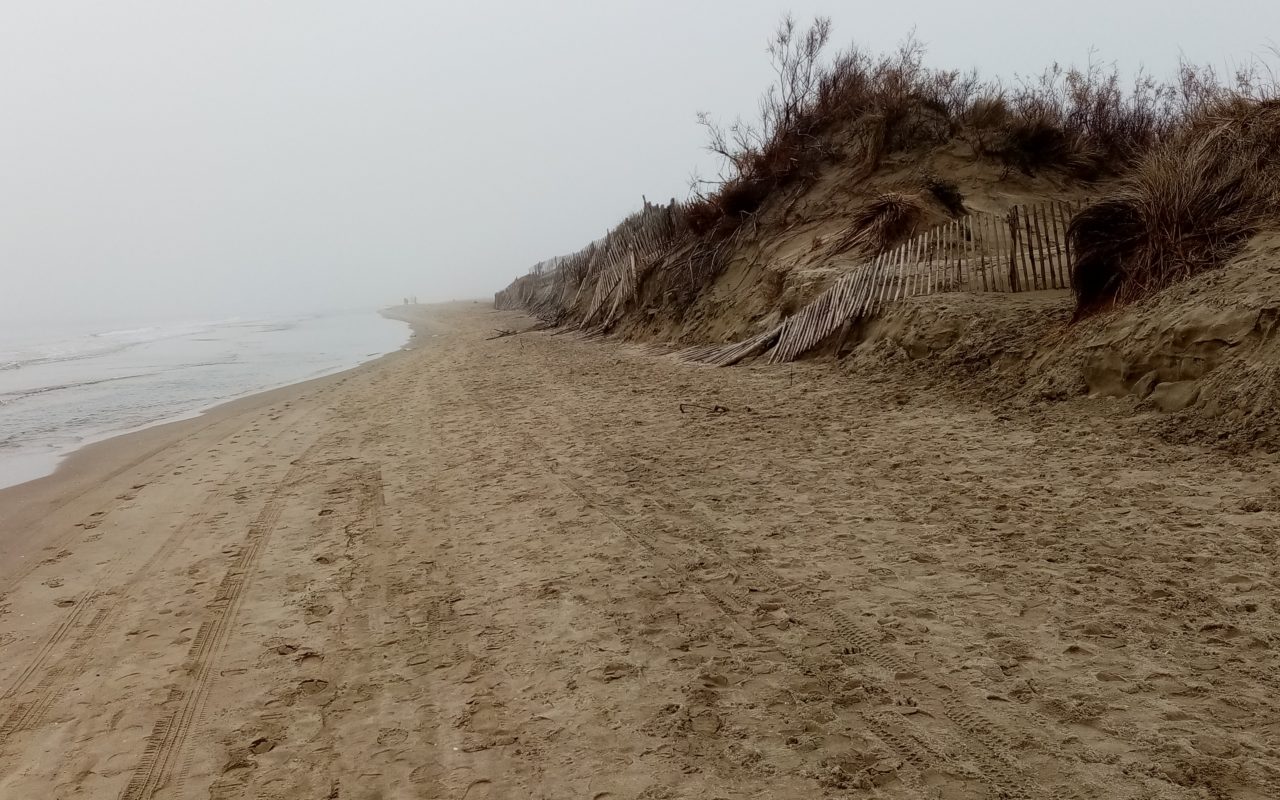 Littoral plage des Baronnets au Grau-du-Roi