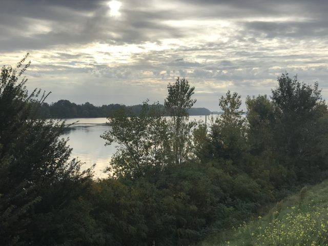 Vu du grand Rhône depuis la digue en rive droite