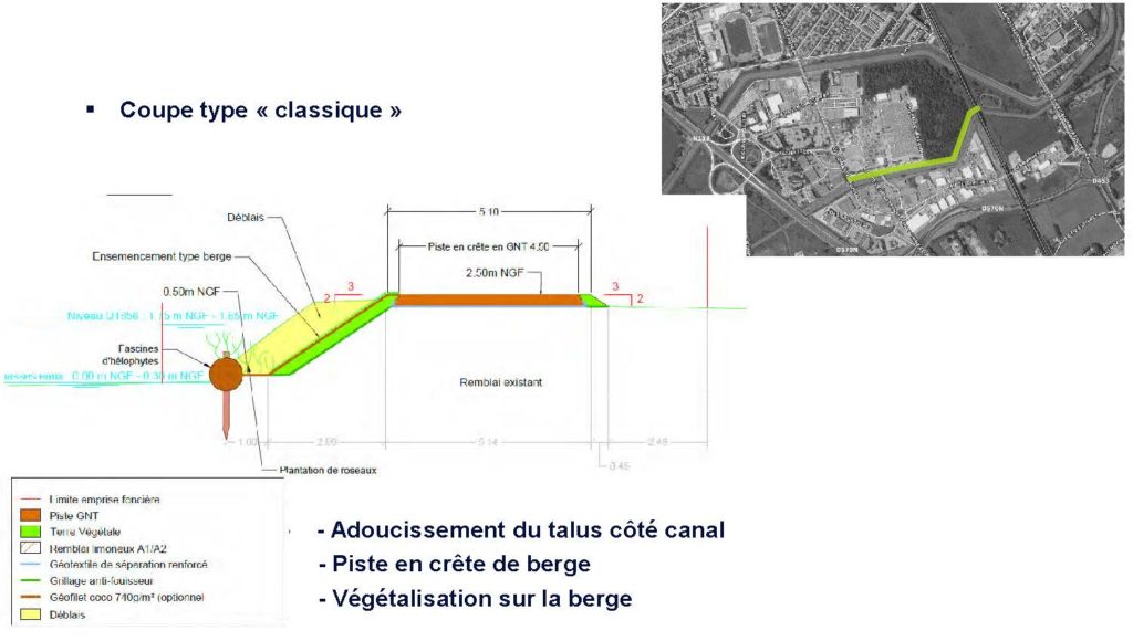 Coupe-type classique des berges du Tronc commun