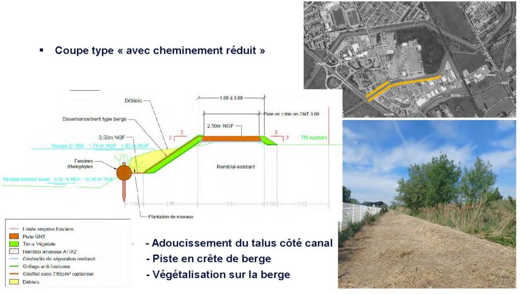 Coupe-type adaptée avec un cheminement réduit sur les berges du Tronc commun