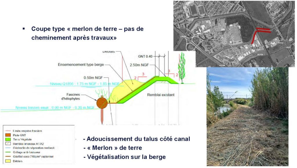 Coupe-type avec création d'un merlon de terre sans cheminement pour les berges du Tronc commun