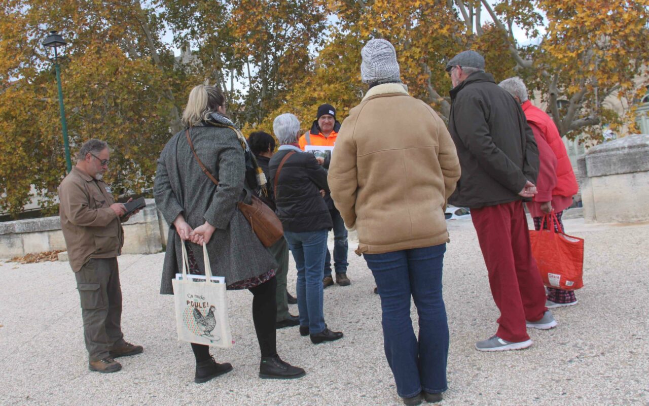 Sortie du mercredi 29 novembre à Beaucaire : une histoire de digue