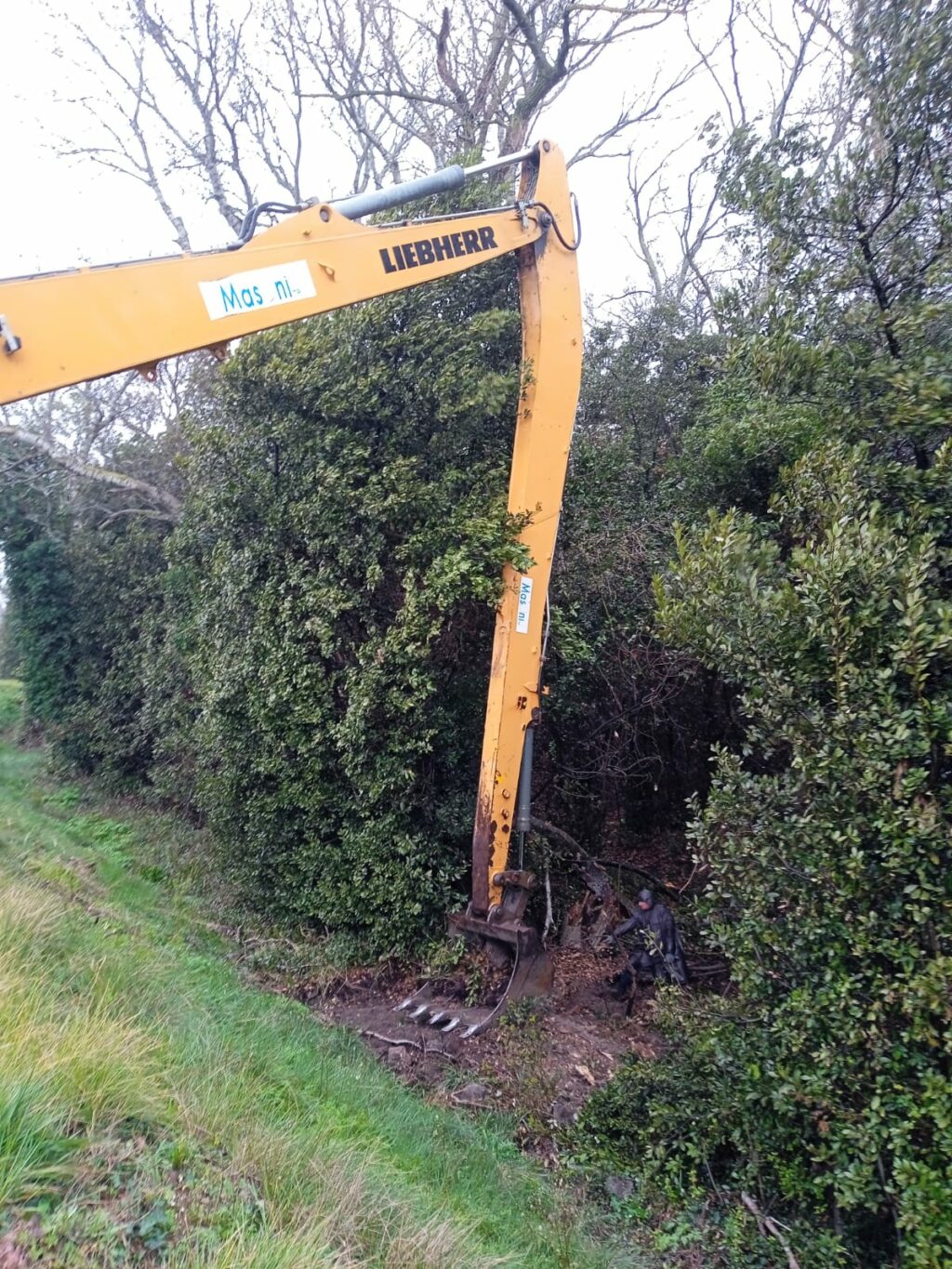 Colmatage préventif de terriers de blaireaux dans la digue du petit Rhône rive gauche