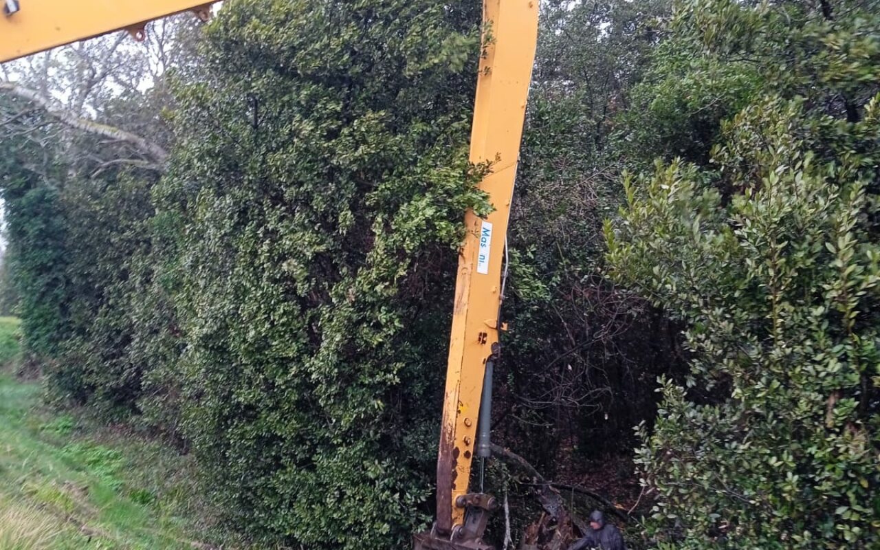 Colmatage préventif de terriers de blaireaux dans la digue du petit Rhône rive gauche