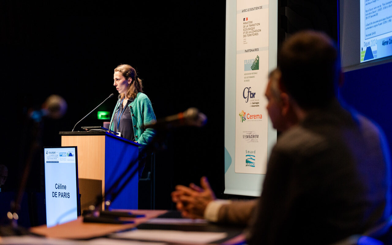 colloque DIGUES 2024 - Présentation de Céline De Paris