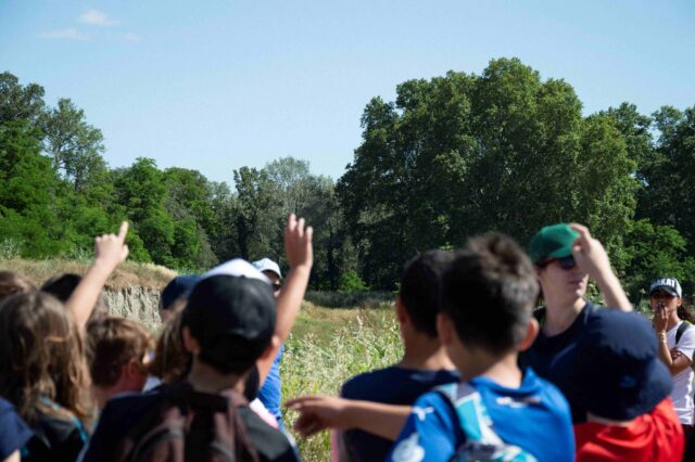 Page 3 proposition 1 web